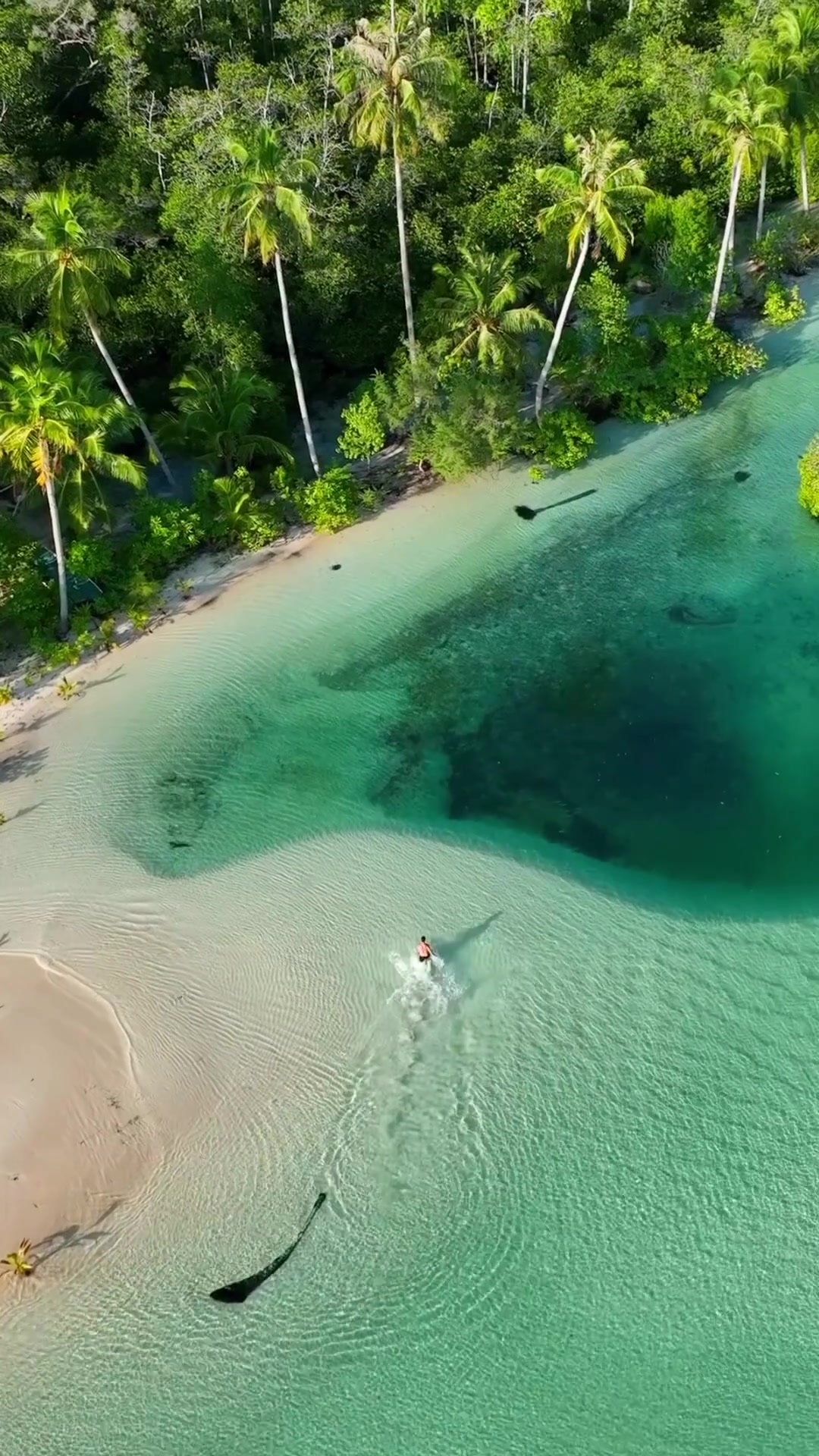 Tropical Beach Views: Aerial and Underwater