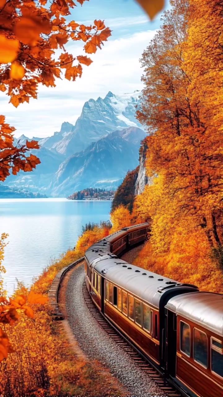 Luxurious Alpine Train Journey: Opulence on Rails