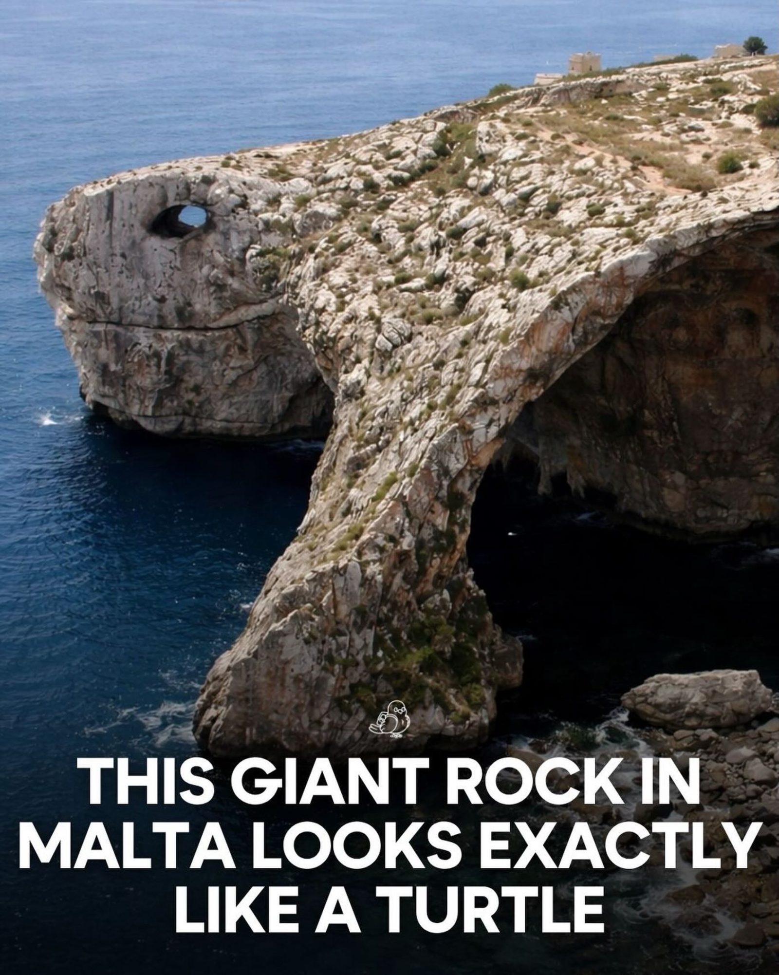 Exploring Malta's Unique Turtle Rock Formation