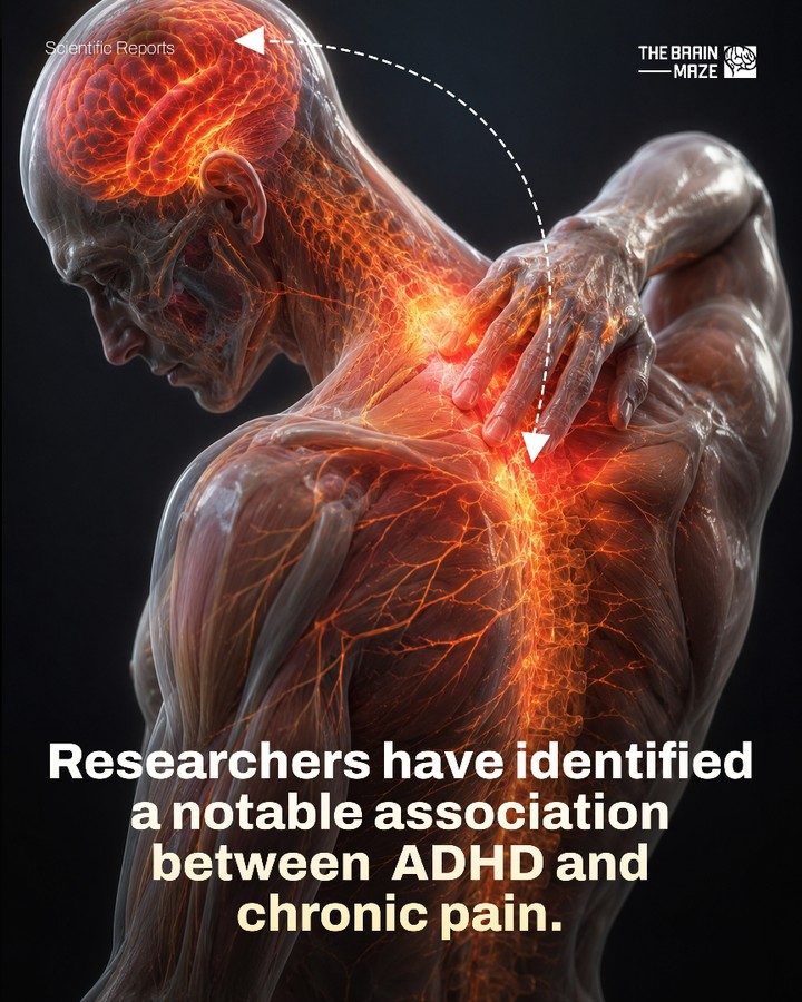 New Study Links ADHD to Chronic Pain