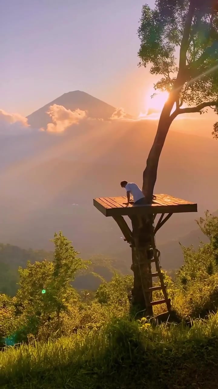 Treehouse Sunset View: Panoramic Landscape