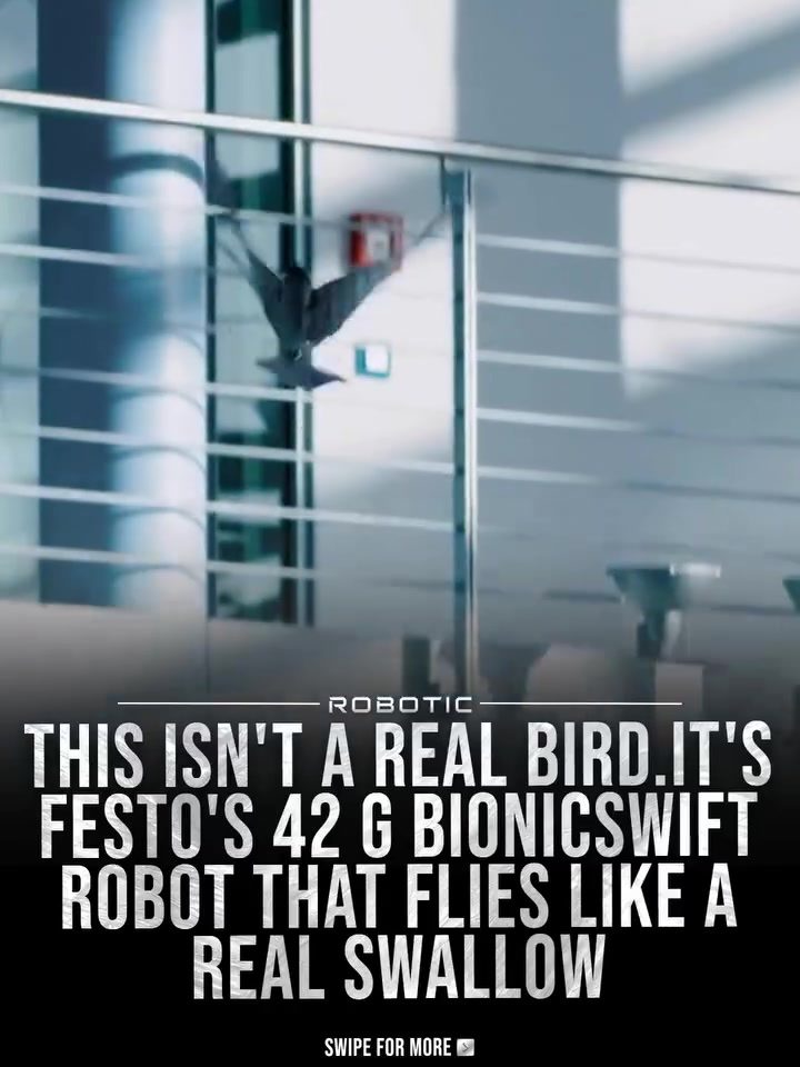 Festo's BionicSwift: The Robotic Bird That Flies Like a Real Swift
