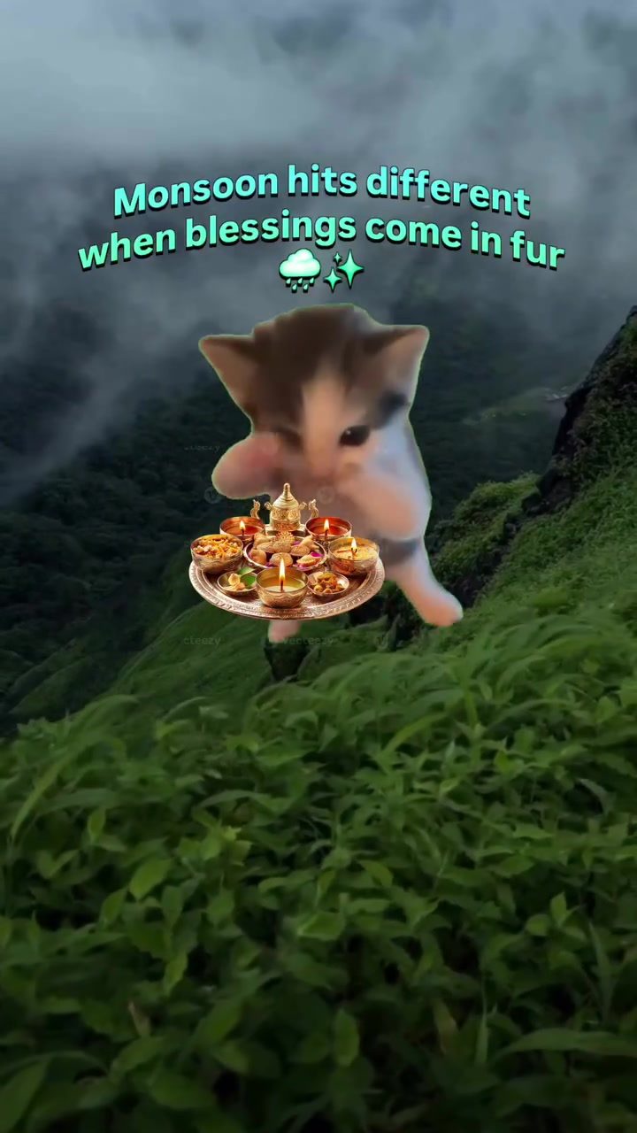 Cat Brings Monsoon Blessings in a Whimsical Rainy Scene