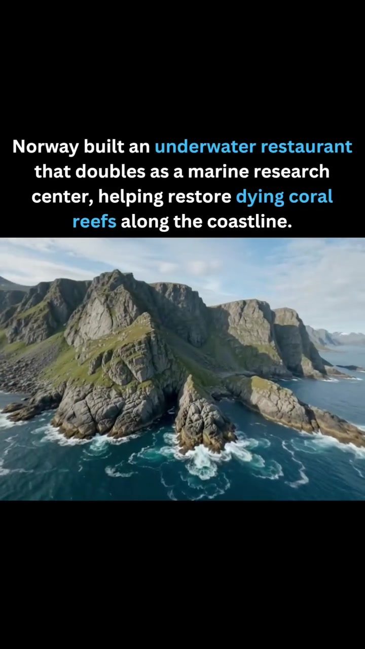 Dining Below the Waves: Norway's Underwater Restaurant Saves Coral
