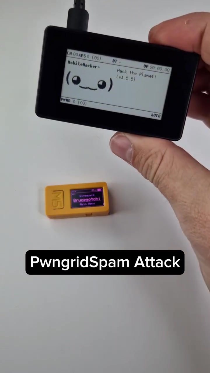 **Learn How PwngridSpam Protects Against Pwnagotchi Wi-Fi Hacking**