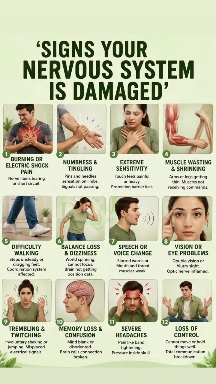 12 Signs of Nervous System Damage to Watch For