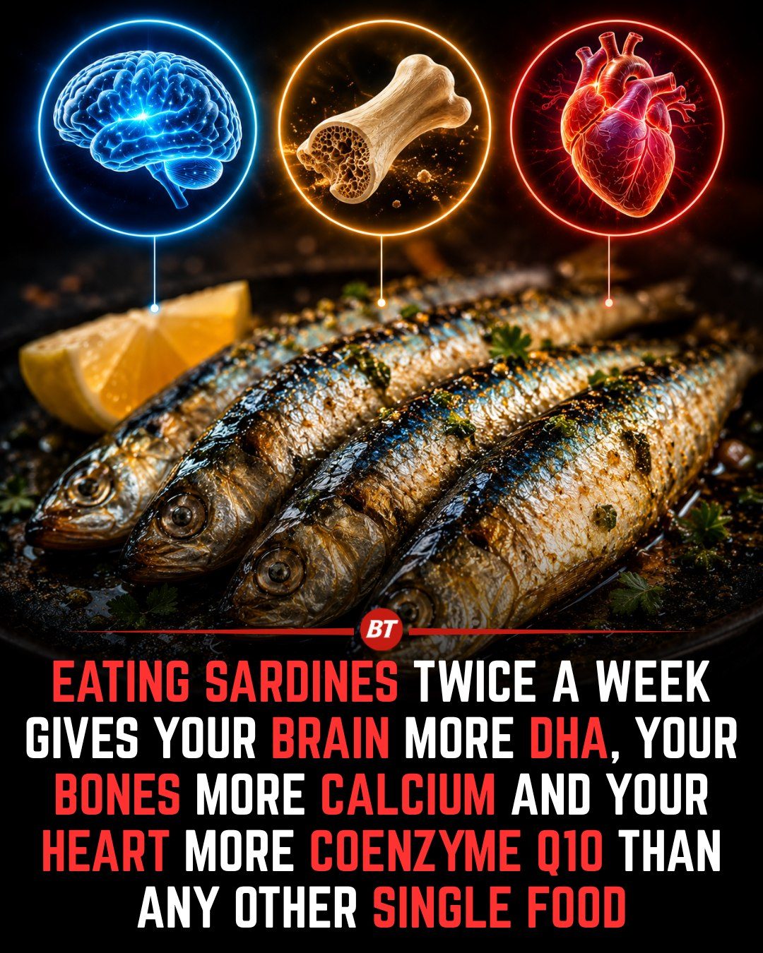 Sardines' Nutritional Power: Boost Brain, Bone & Heart