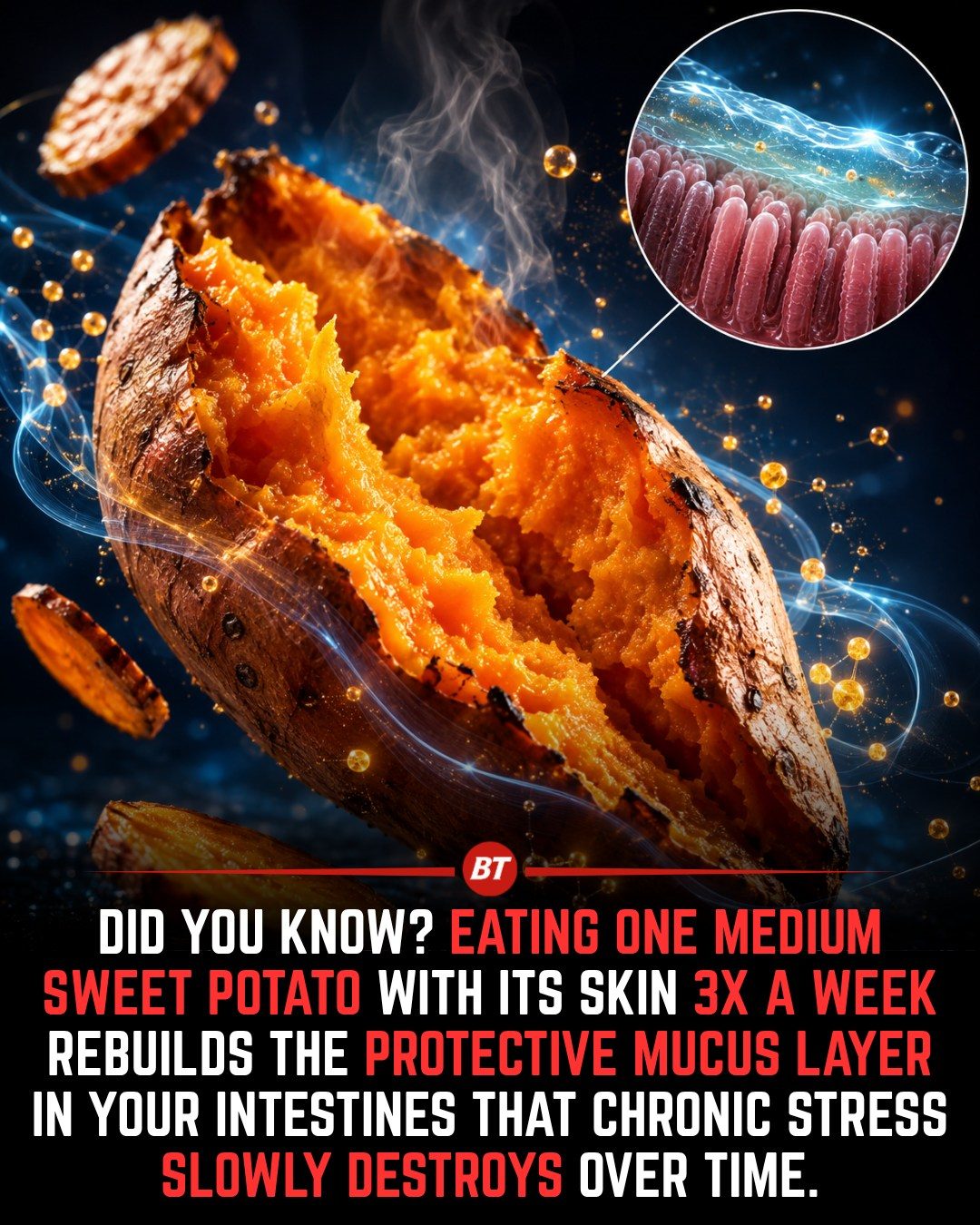 Sweet Potatoes: Boost Your Intestinal Mucus Layer