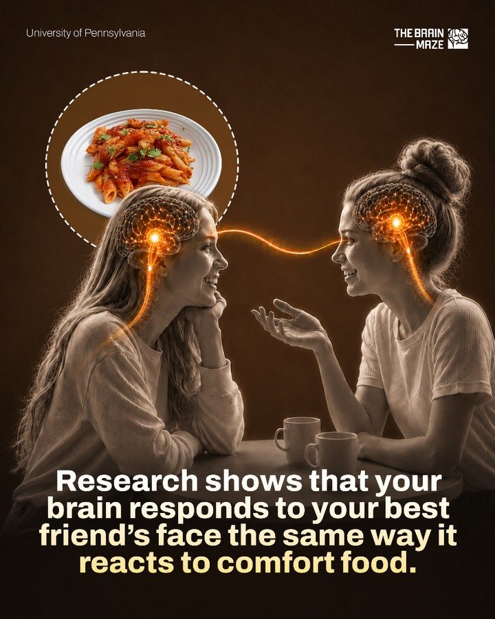 Friendship and Comfort Food: How Your Brain Responds