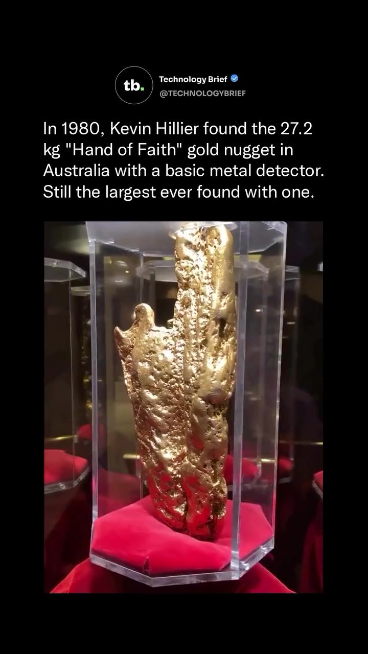 The Largest Gold Nugget Ever Found with a Metal Detector