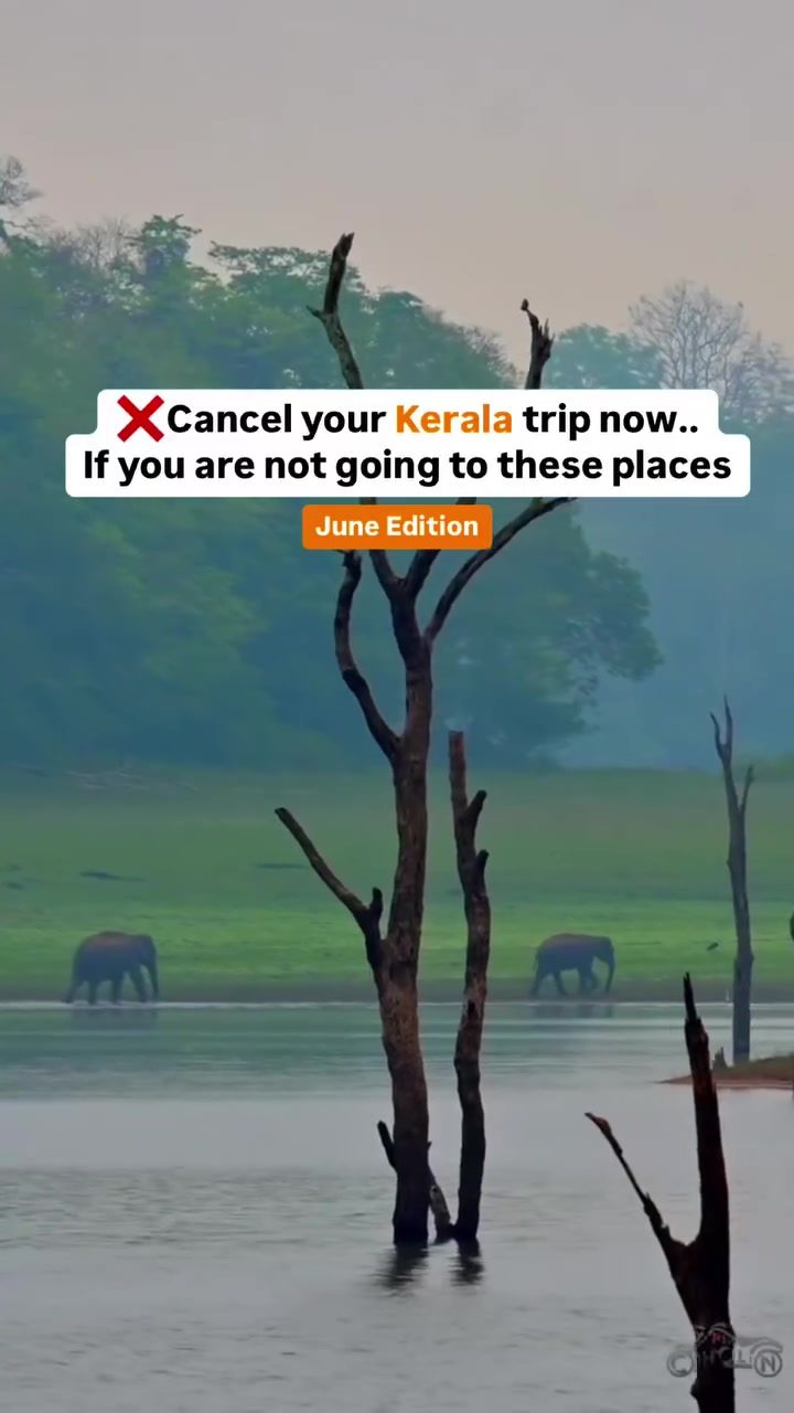 Best Places to Visit in Kerala: Kumarakom and Thekkady