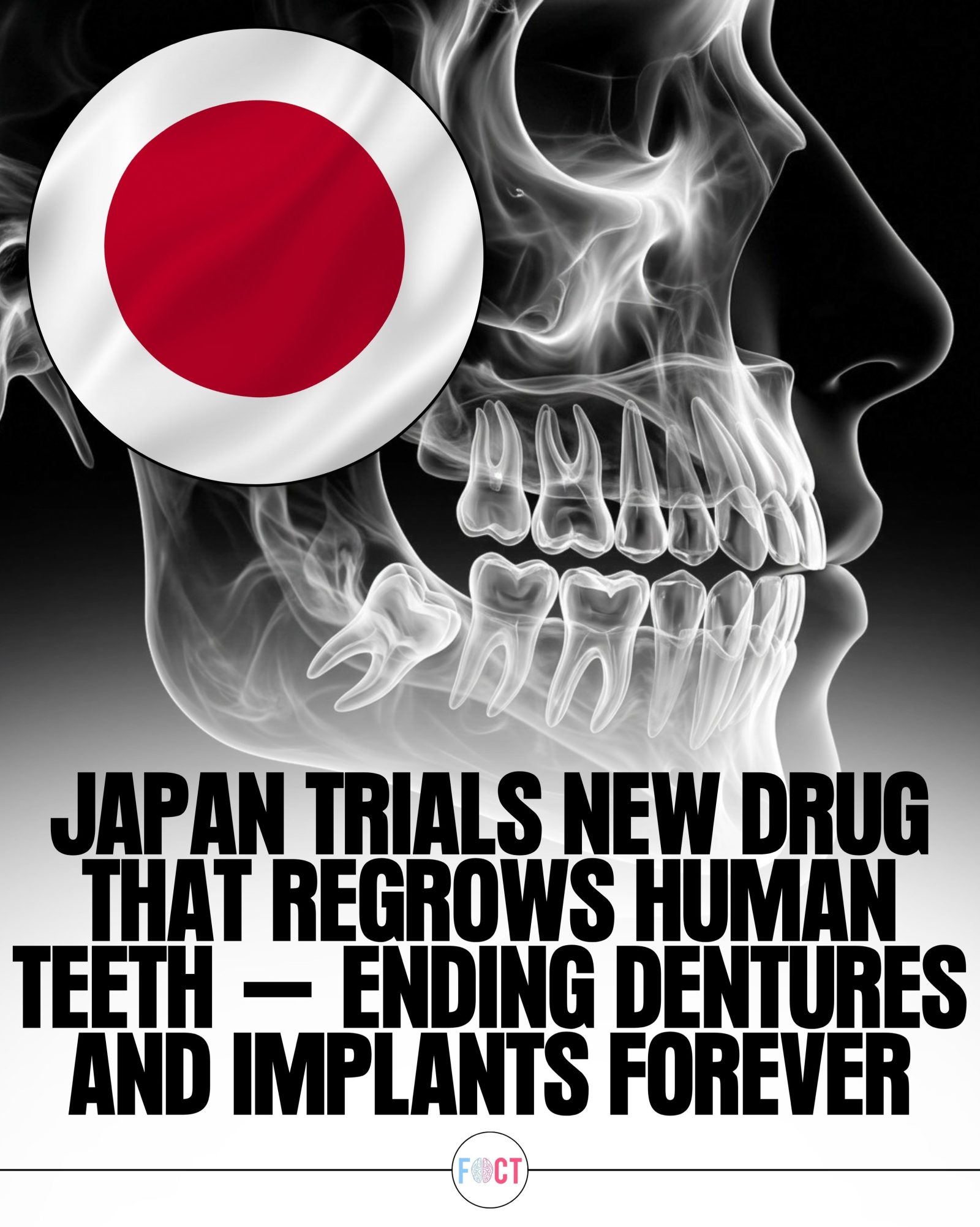 Japanese Drug Trials: Regrowing Human Teeth Naturally