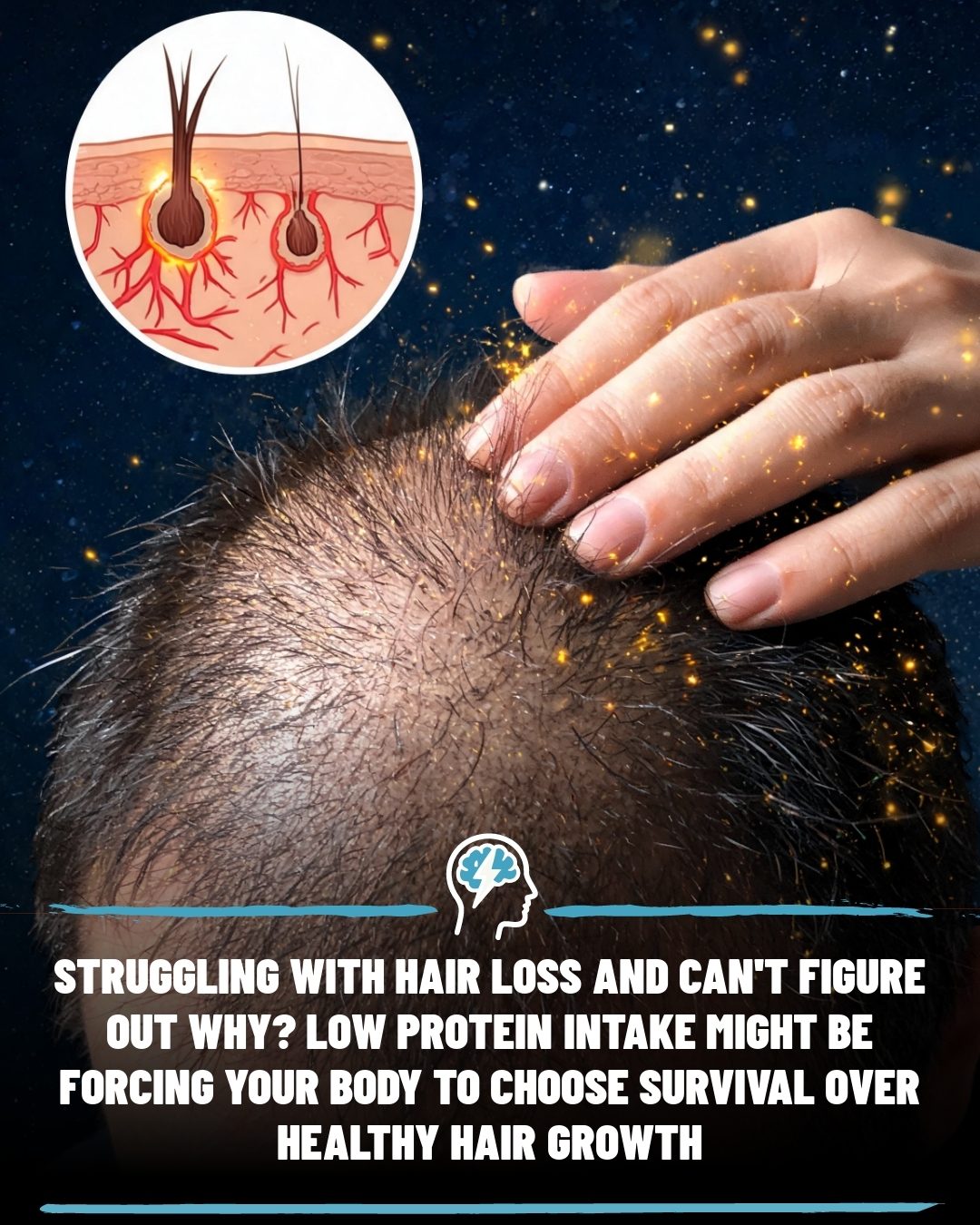 Understanding the Link Between Protein Intake and Hair Loss