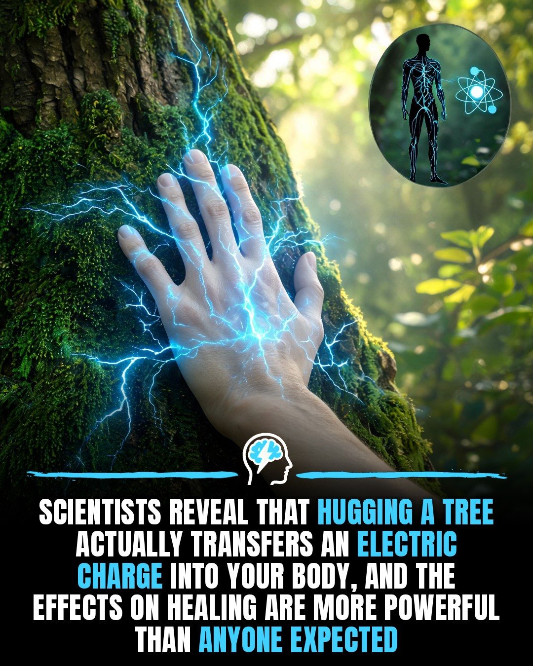 **Explore the Science Behind Hugging Trees for Health and Wellness**