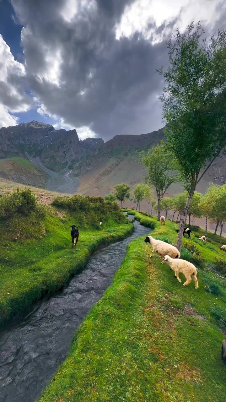 Planning Your Dream Tour of Pakistan's Northern Landscapes