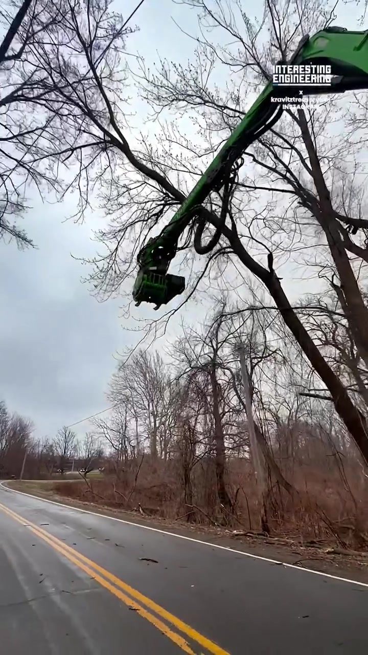 Tree Cutting Machine: Revolutionizing Arboriculture