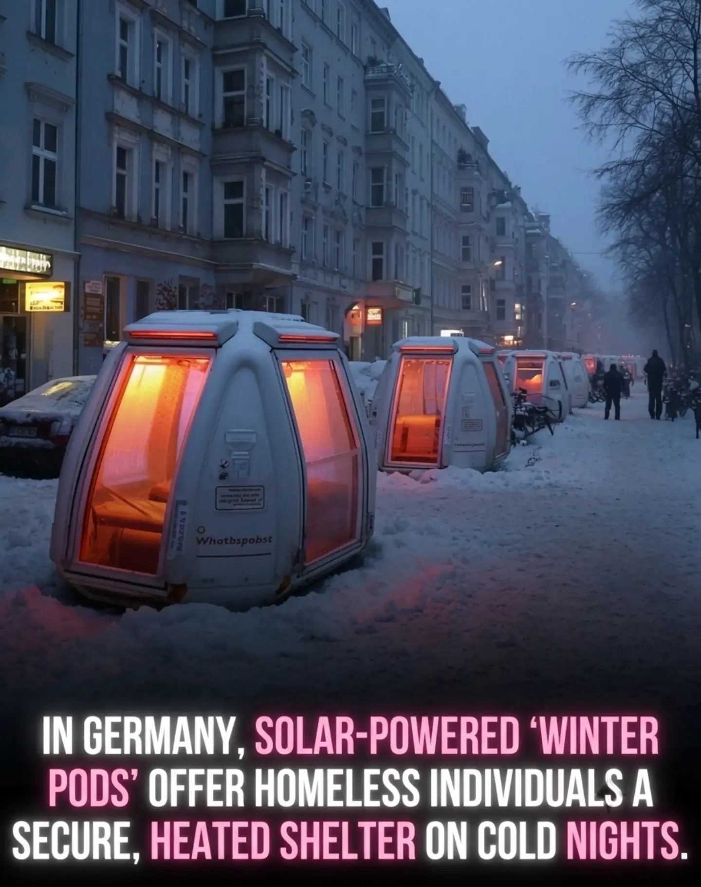Ulmer Nests: Germany’s Winter Shelter Innovation