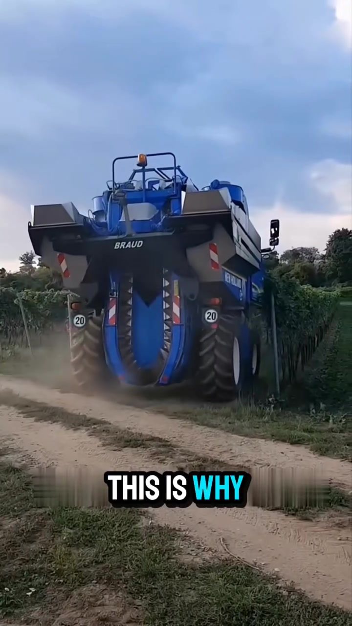 BRAUD Grape Harvester: Harvesting 300 Tons a Day