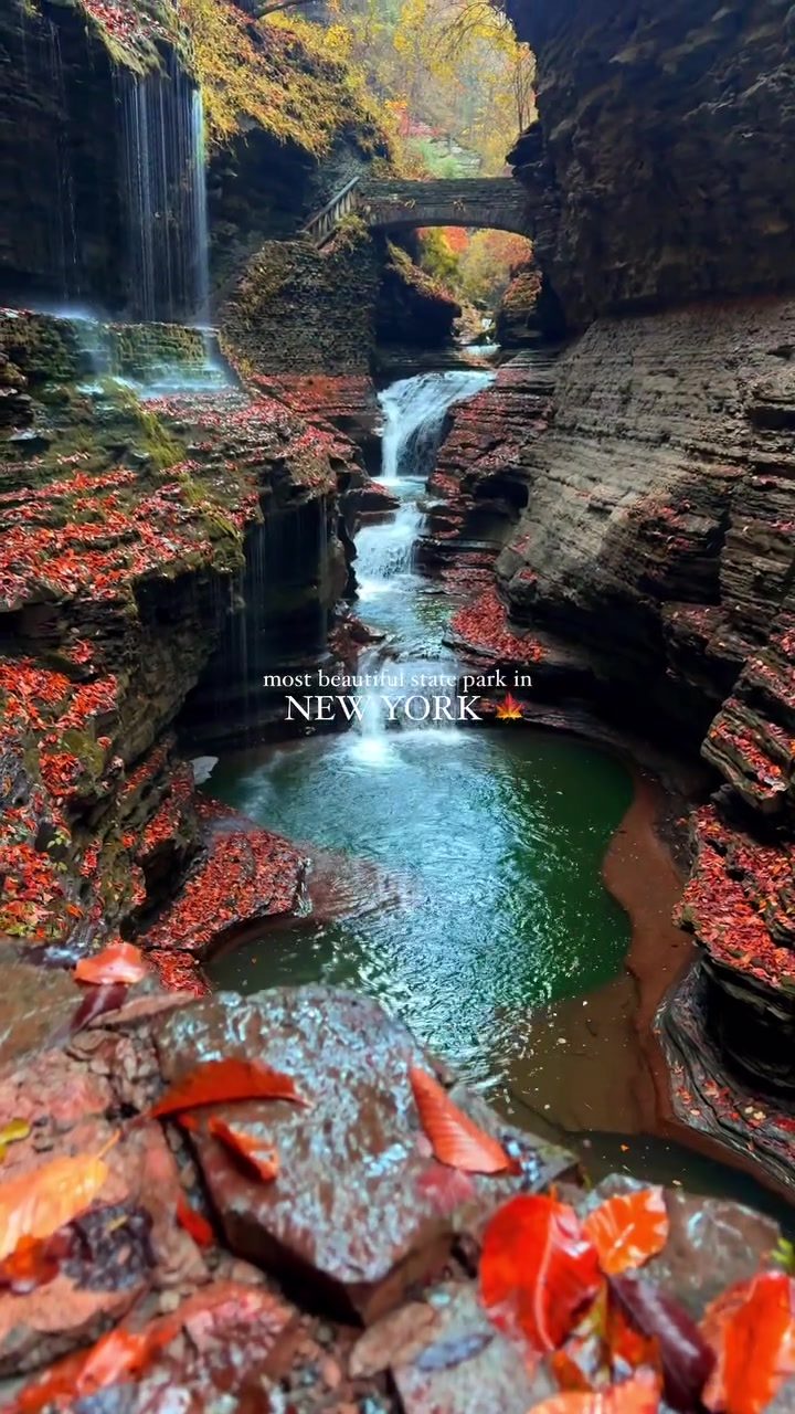 Fall Foliage and Waterfalls: Watkins Glen State Park's Magic