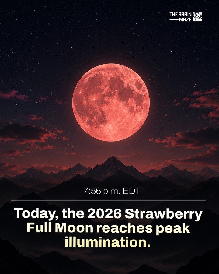 Witness the 2026 Strawberry Moon: Peak Illumination at 7:56 p.m.