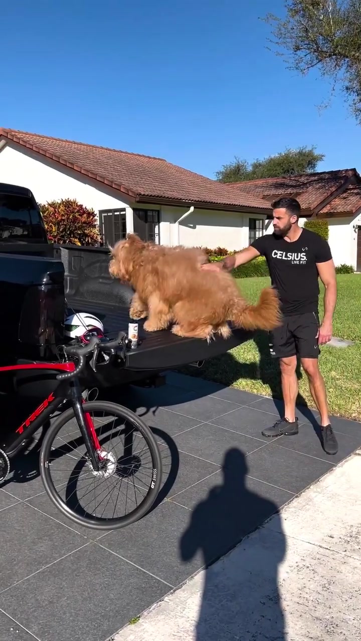 Dog Cycling With Safety Gear and Celsius Energy Drinks