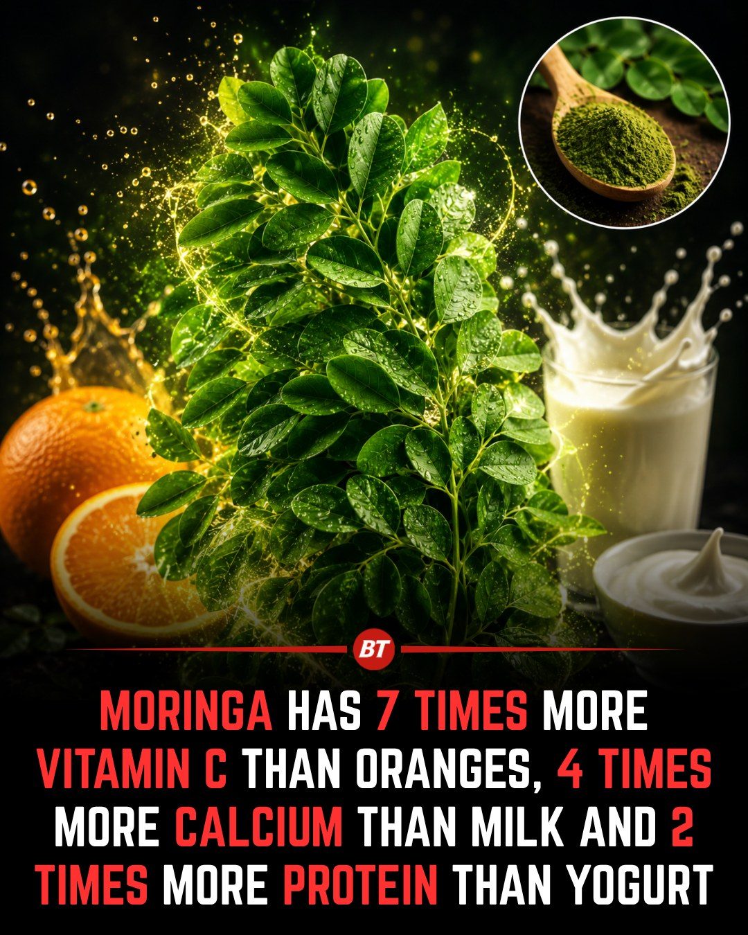 Unlocking Moringa's Nutrient Power: Vitamin C, Calcium, Protein
