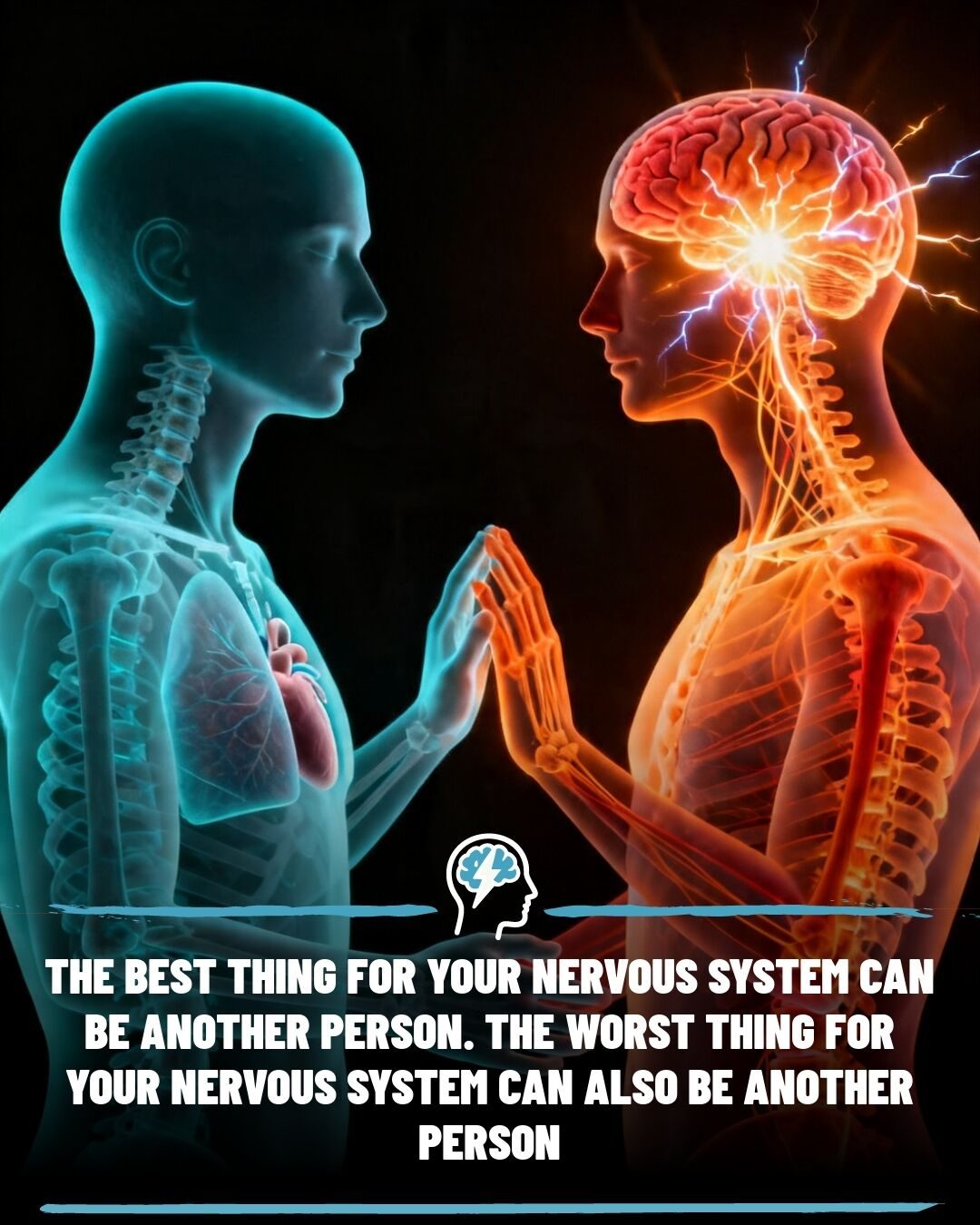 How Your Nervous System Responds to People and Relationships