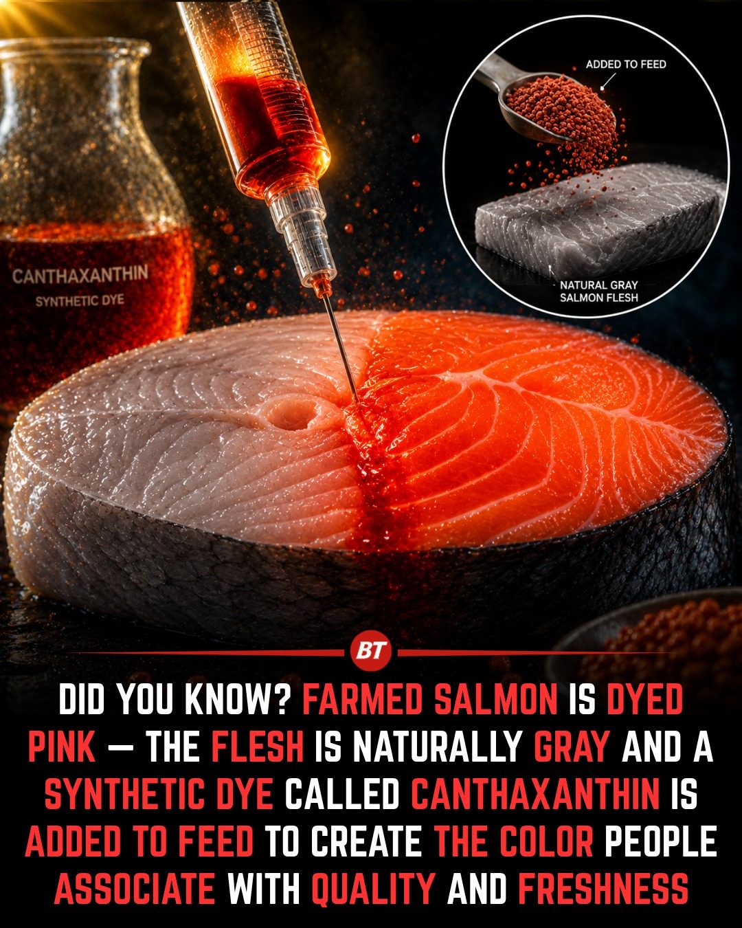 Salmon's Pink Color: Farmed vs. Naturally Occurring