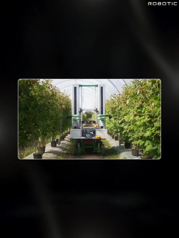 Automating Berry Harvesting: AI-Powered Precision in Farming