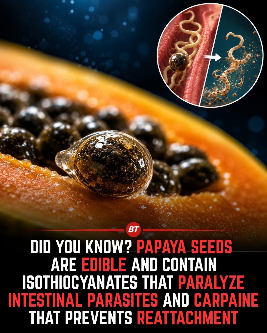 Papaya Seeds' Potential: Fighting Intestinal Parasites