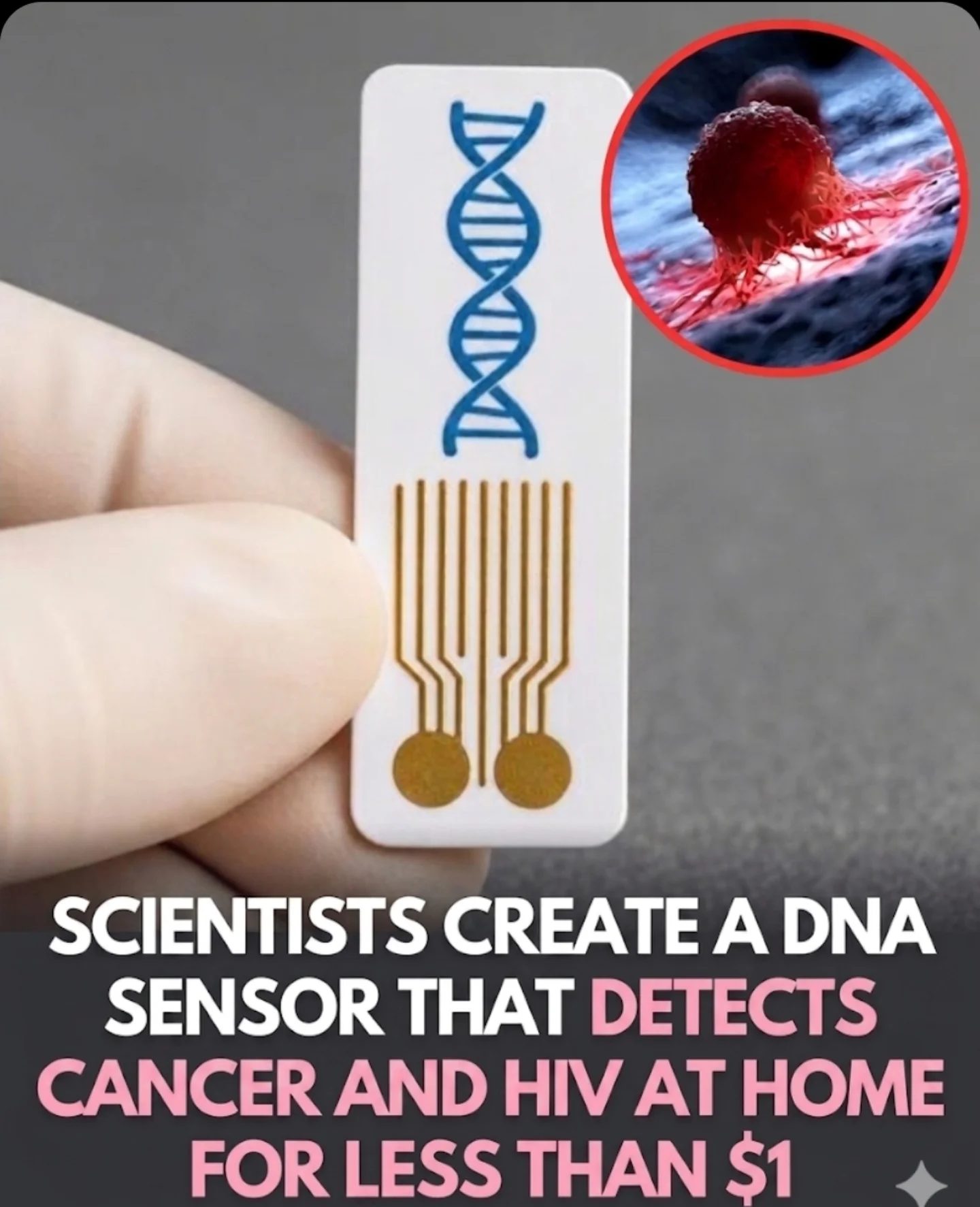 Home DNA Sensor Detects Cancer, HIV for Under $1