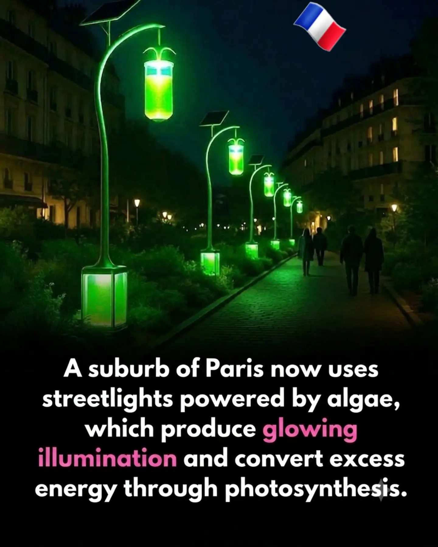 Algae-Powered Streetlights Illuminate Suburban Paris