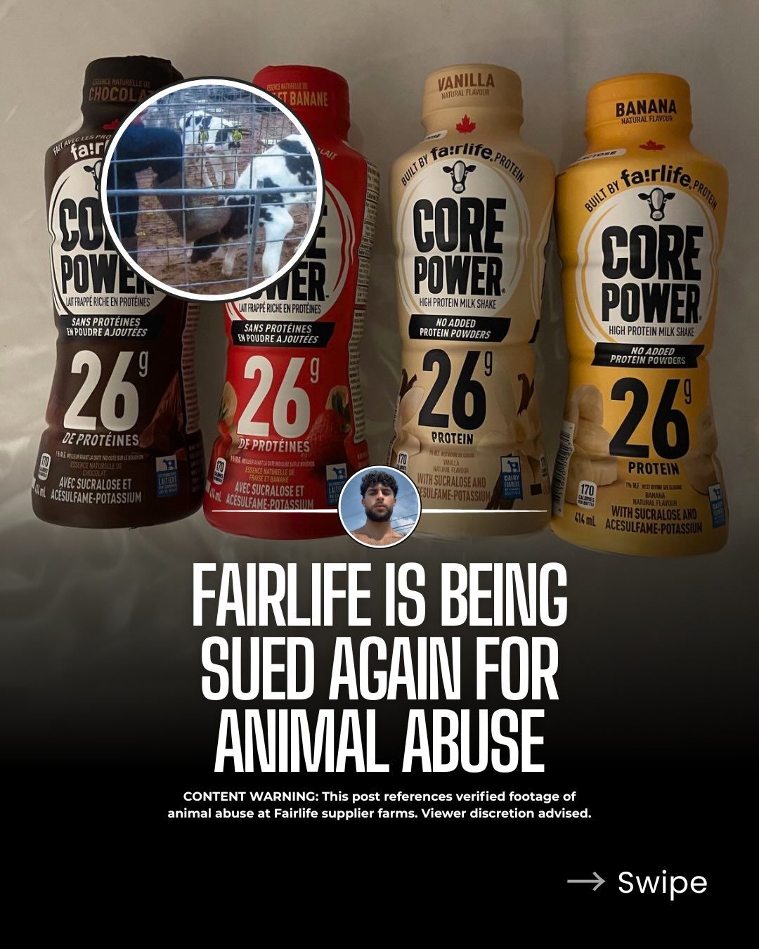 Fairlife Faces New Animal Abuse Allegations at Supplier Farms