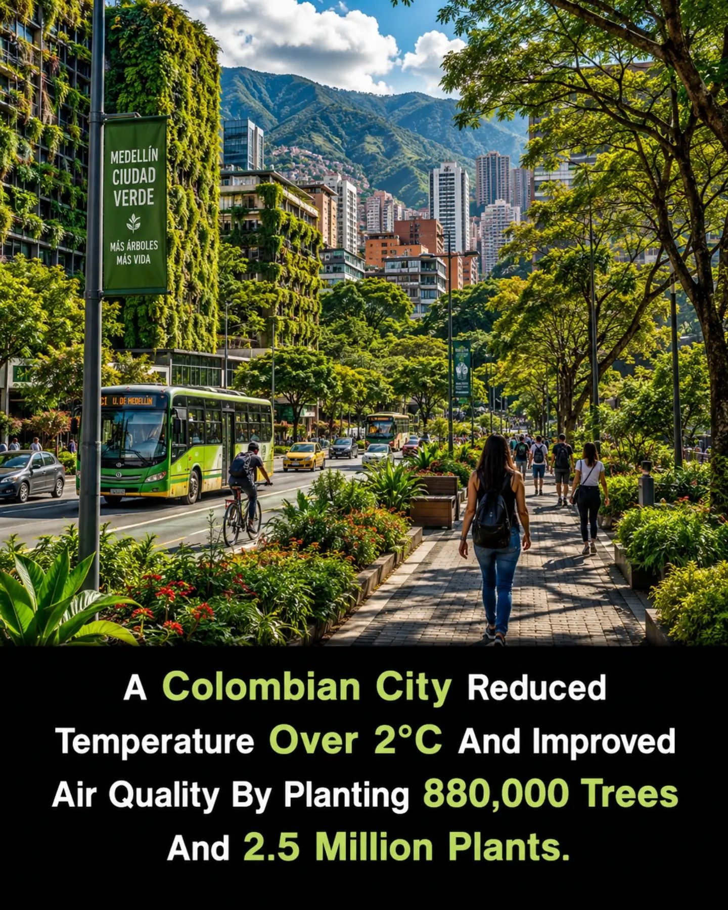 Medellín's Green Revolution: How 880,000 Trees Transformed the City