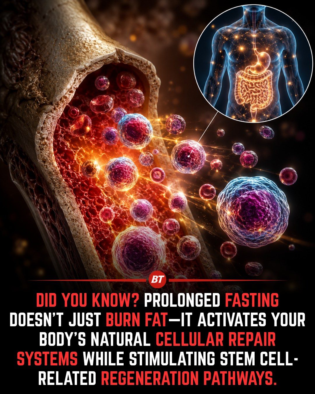 The Surprising Regenerative Benefits of Prolonged Fasting