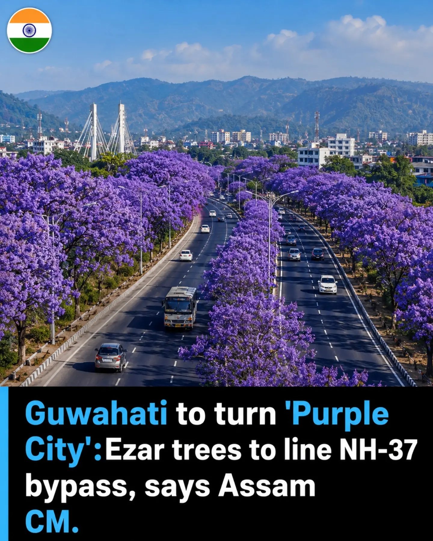 Guwahati's Transformation into the Purple City with Jacaranda Trees