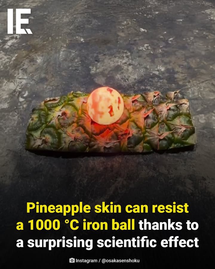 Pineapple Skin's Amazing Heat Resistance Explained