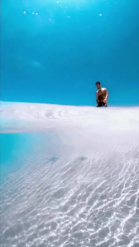 Maldives Diving: Fun Facts and Underwater Beauty
