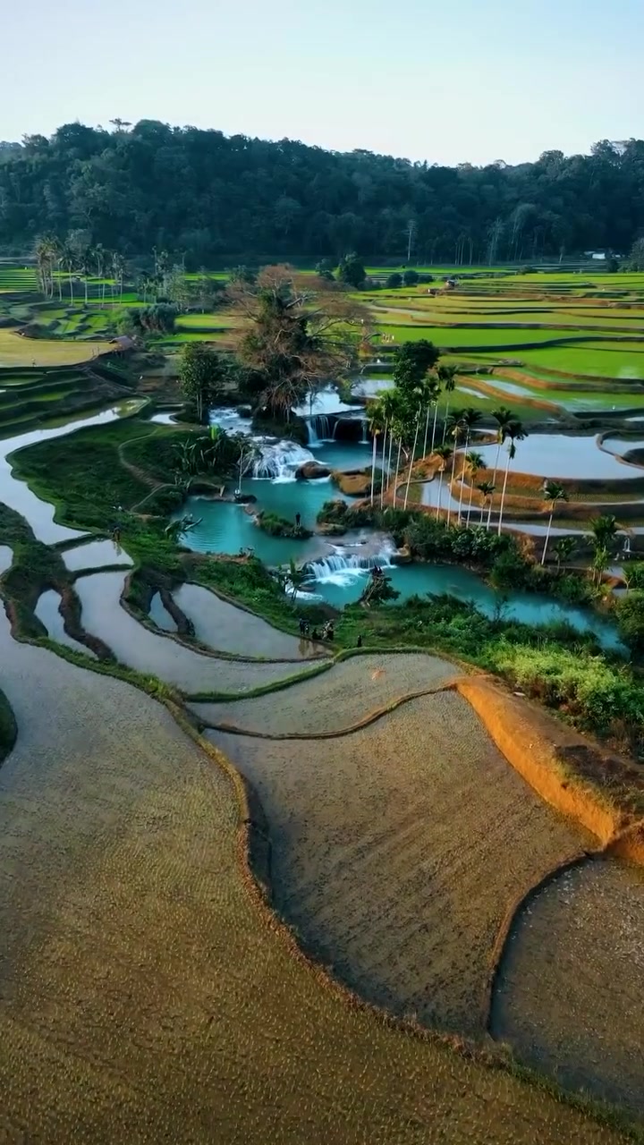 Aerial View of Waterfall and Rice Fields