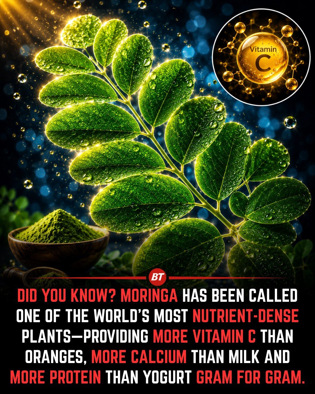 Why Moringa is a Superfood Powerhouse