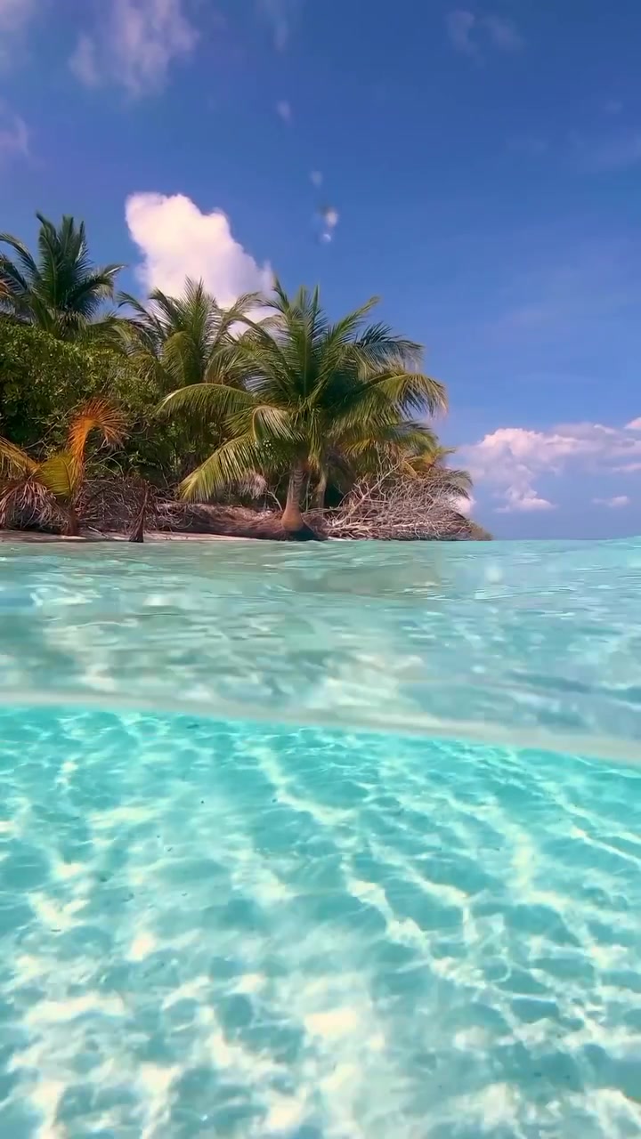 Maldives Paradise: Beautiful Beaches and Clear Waters
