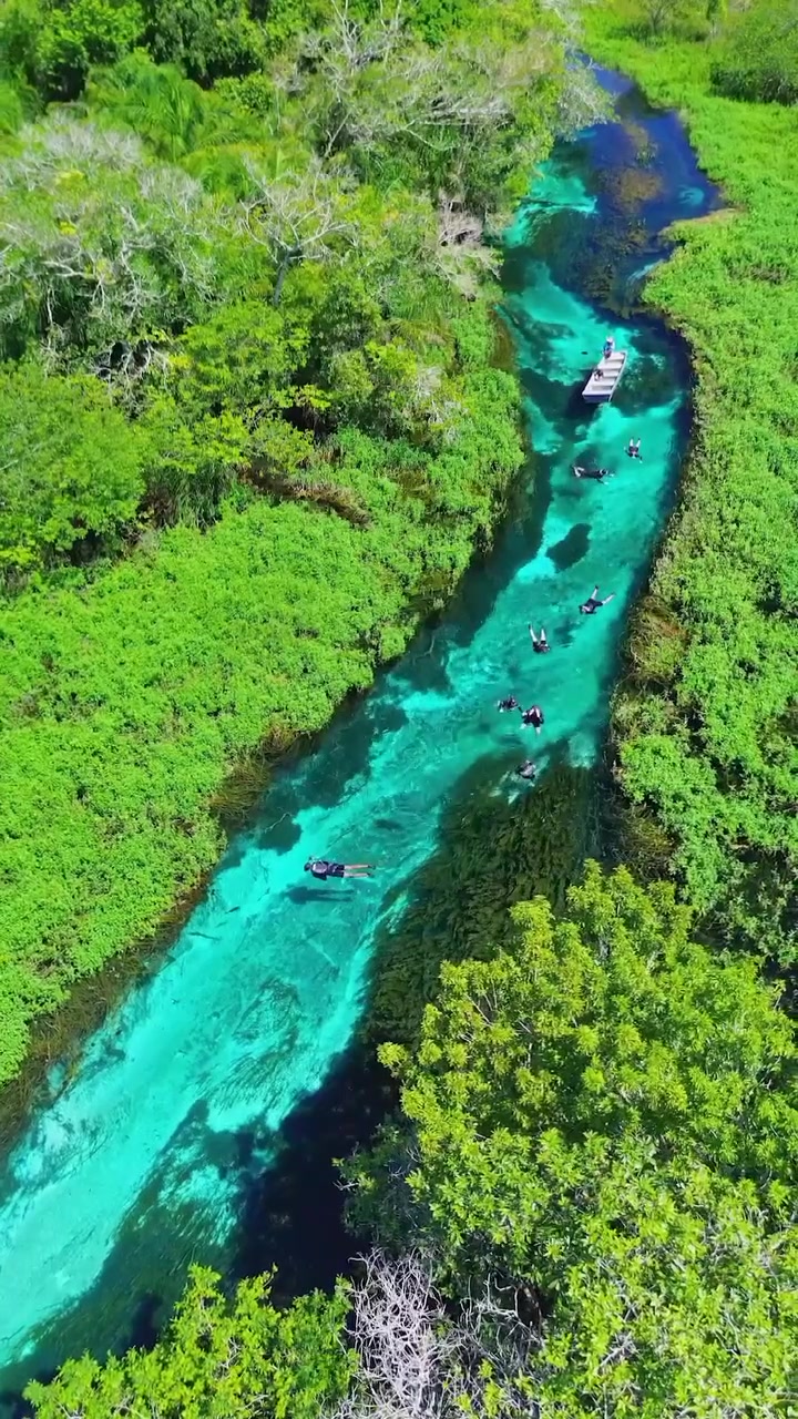 Cenote Swimming in Rio Sucuri, Brazil