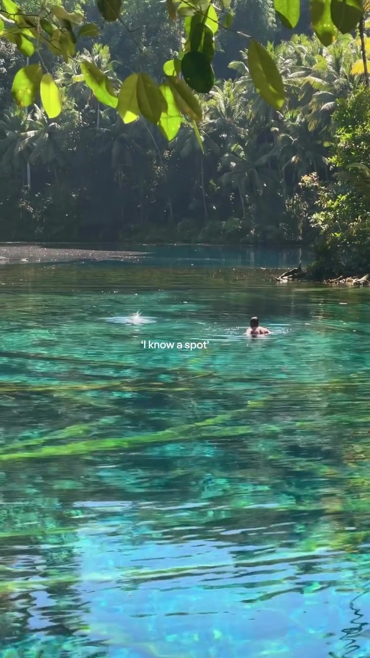 Discover PaiSu Pok: World's Clearest Freshwater Lake