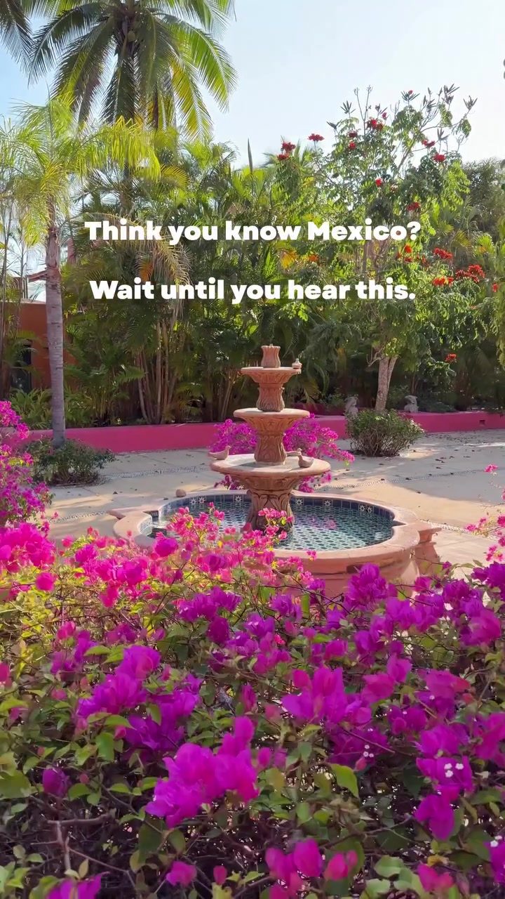 Exploring Jalisco: A Journey Through Mexico's Iconic Culture and Landscapes