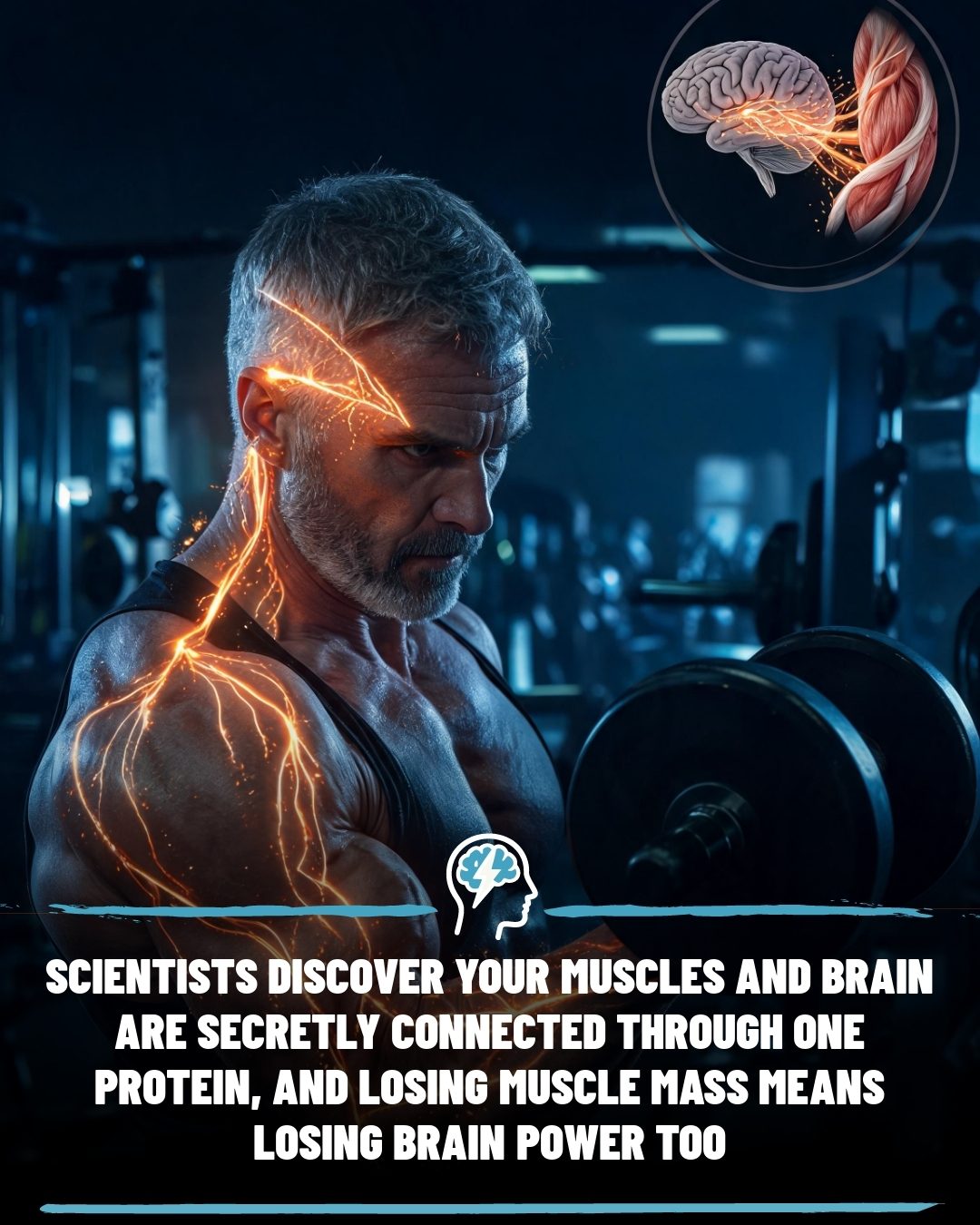 The Surprising Link Between Muscle Health and Brain Power