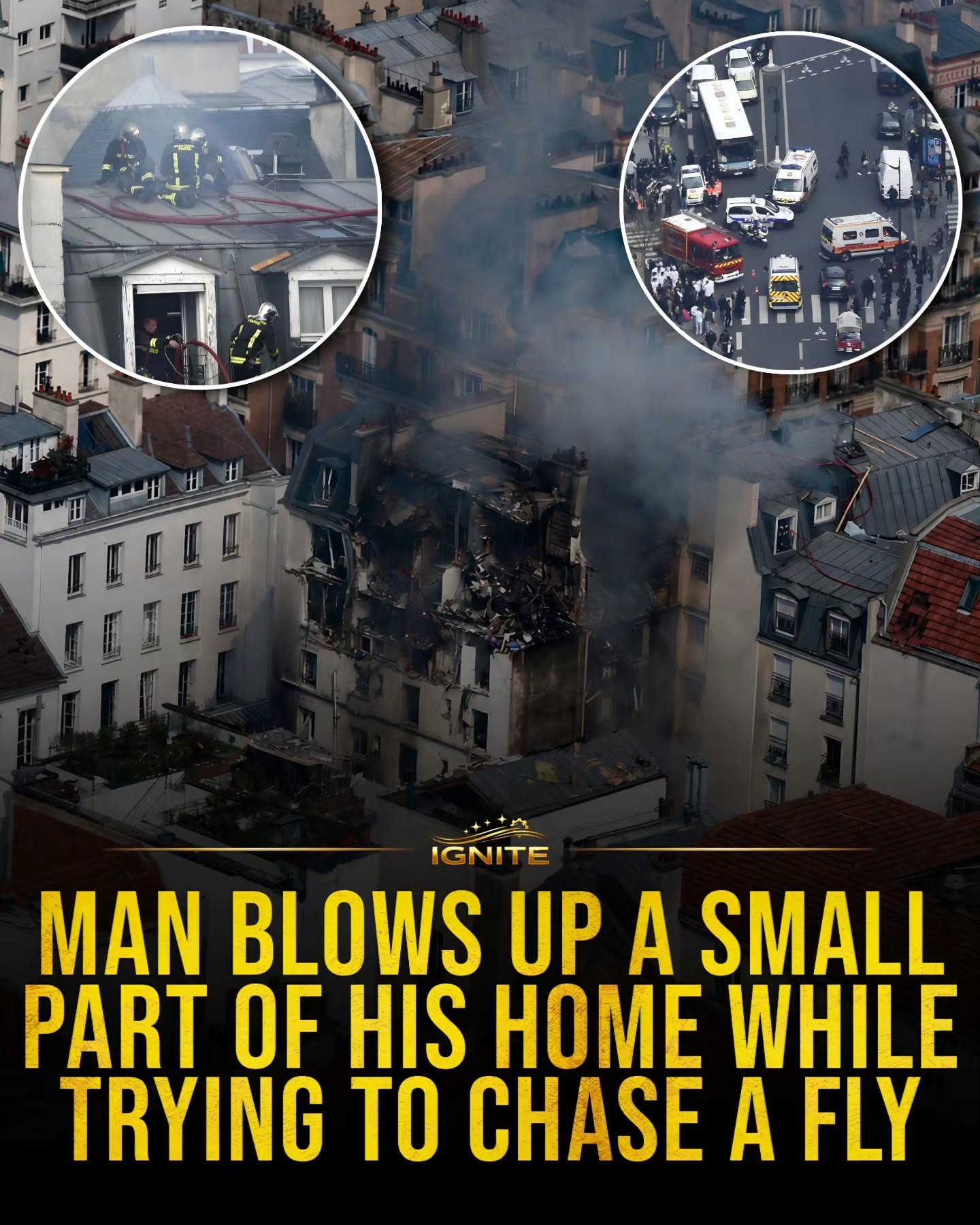 Elderly Man's Fly Chase Causes House Explosion in France