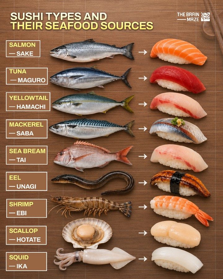 Discover the Different Sushi Types and Their Seafood Sources