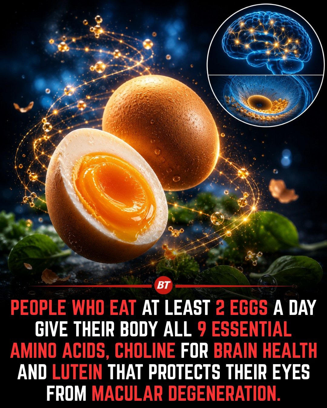 Eggs: Fueling Brain and Eye Health with Essential Nutrients