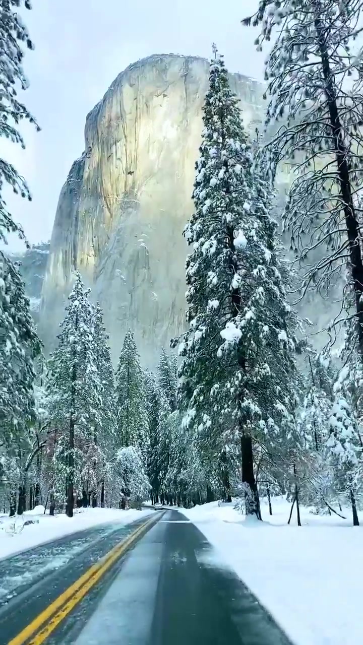 Winter Drive Through Yosemite National Park