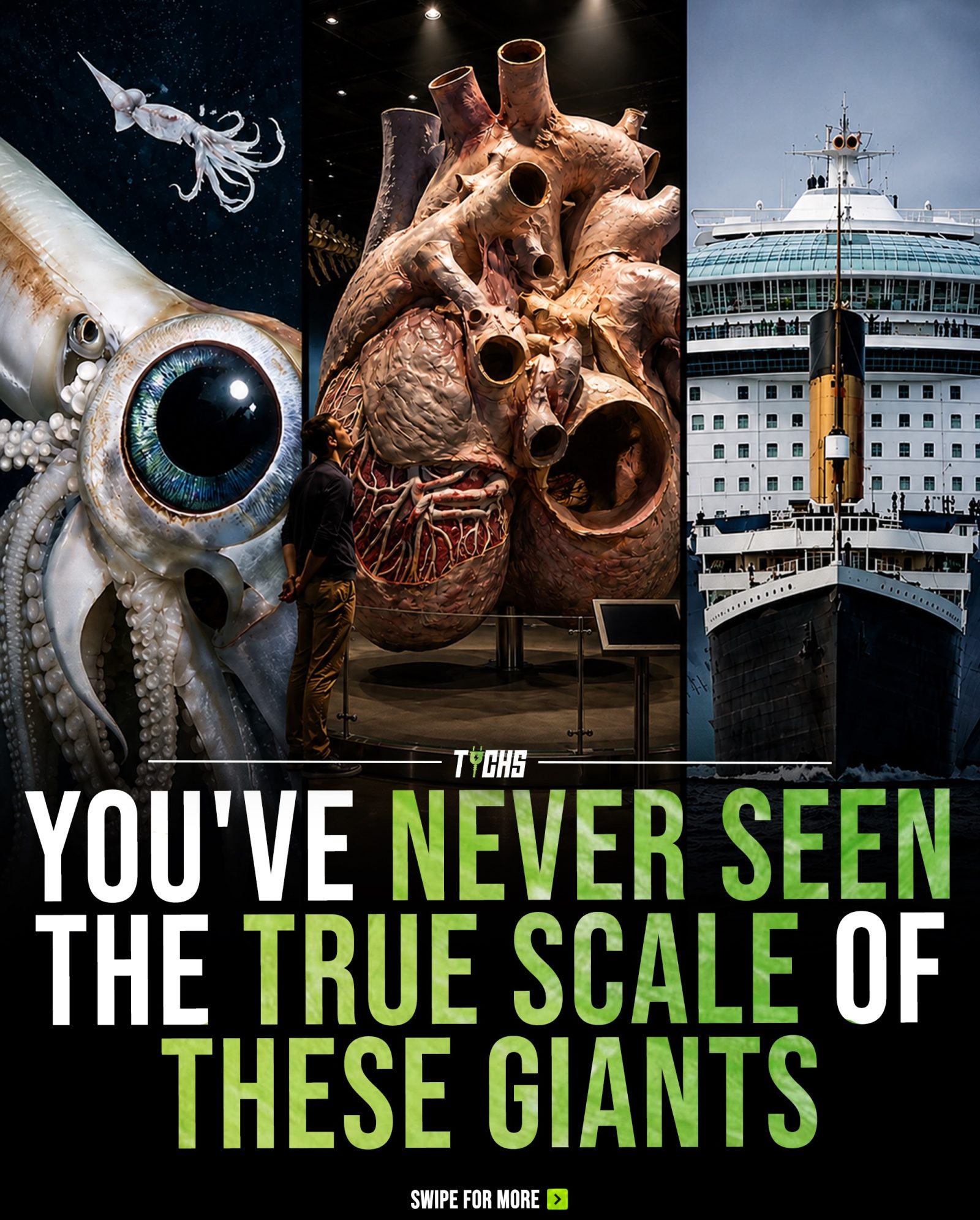The True Size of Natural and Human-Made Wonders